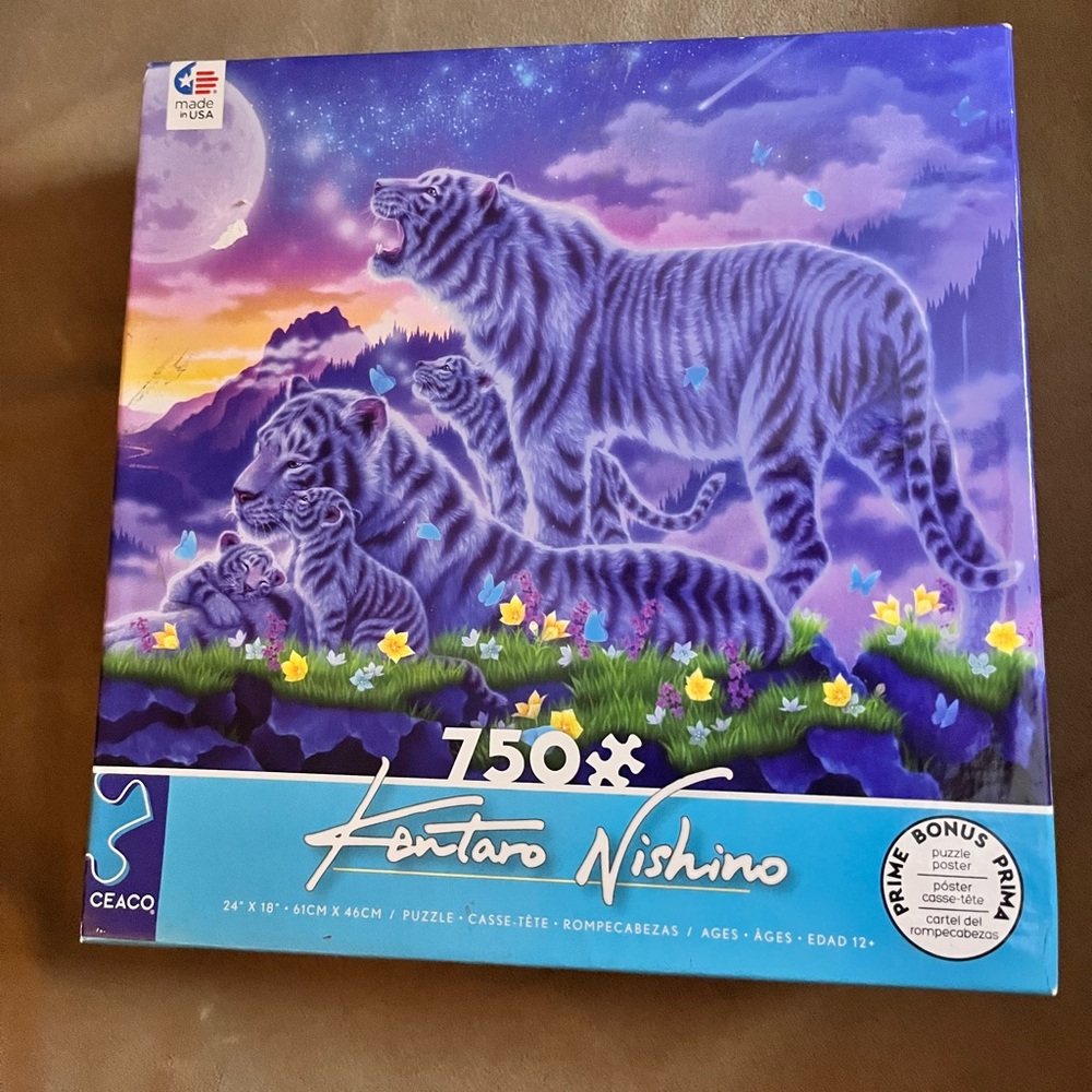 Jigsaw puzzle